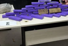 Polícia Civil prende casal com cerca de 37 quilos de drogas em Cajazeiras