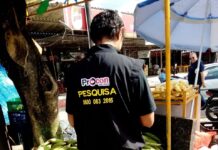 Preço da mão do milho in natura tem diferença de R$ 50 em pesquisa realizada pelo Procon-JP
